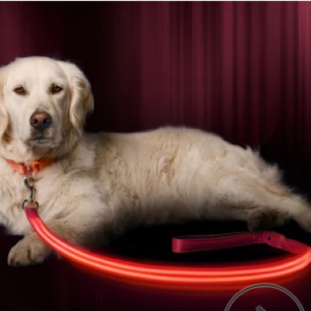 LED DOG LEASH - USB RECHARGEABLE